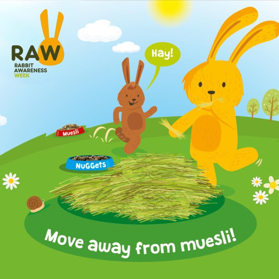 Rabbit Awareness Week 2018 Move Away From Muesli Blythman And Partners