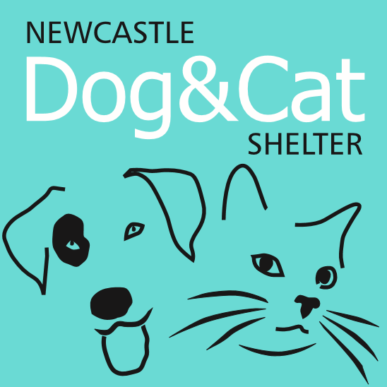 Please Support Newcastle Dog Cat Shelter Blythman Partners