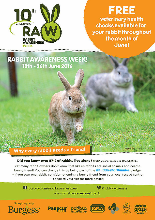 Rabbit awareness week 18th to 26th June Blythman & Partners