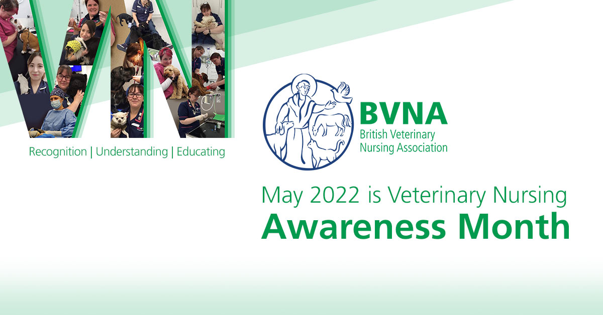 Veterinary Nursing Awareness Month Blythman & Partners